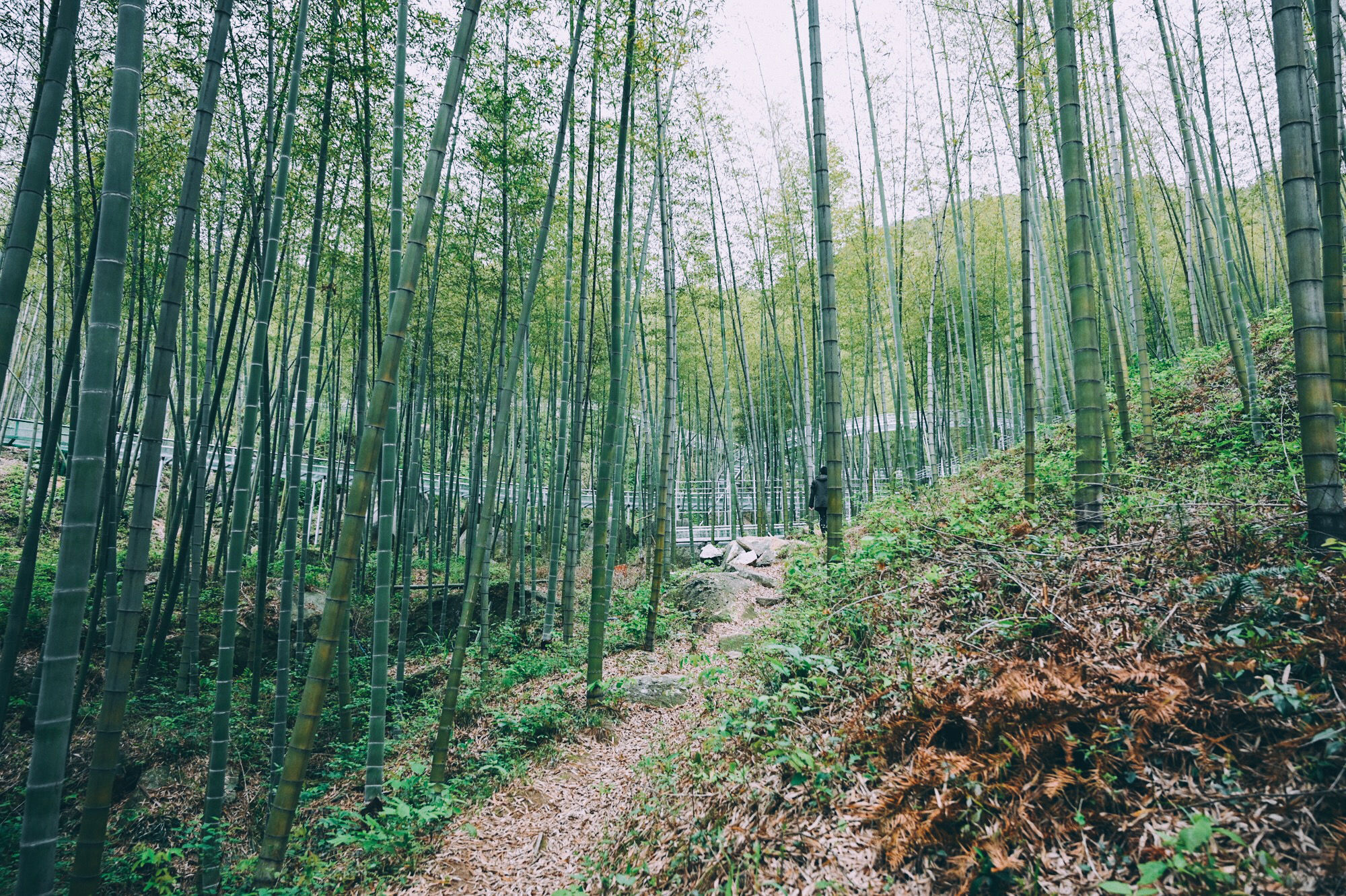 走进北纬30°的天柱山，一处风光秀丽又神秘的地方