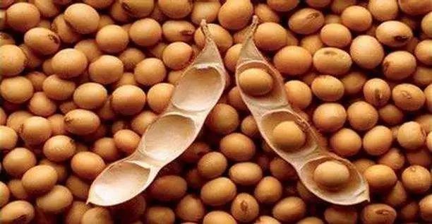 贸易战加剧，我们到黑龙江看了看国产大豆的底气