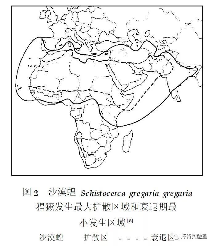 逼近@千亿蝗虫逼近中国边境，但你的辣椒和孜然可能白准备了
