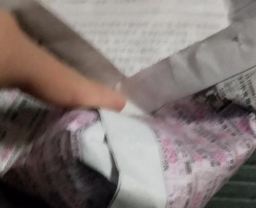 『提高』种植洋水仙前种球的处理,学一学,就能提高开花率!