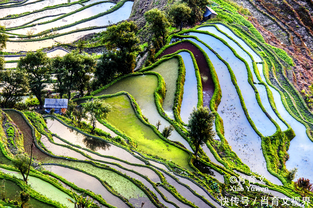 元阳梯田，有17多万亩，被命名为绿水青山就是金山银山实践基地
