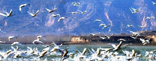 运三铁路2020年将通车, 全线82千米跨越山西河南两省