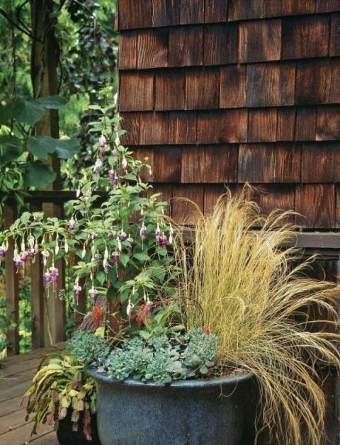 庭院不需太奢华，或一盆花，或一个老物件就能让庭院惬意起来