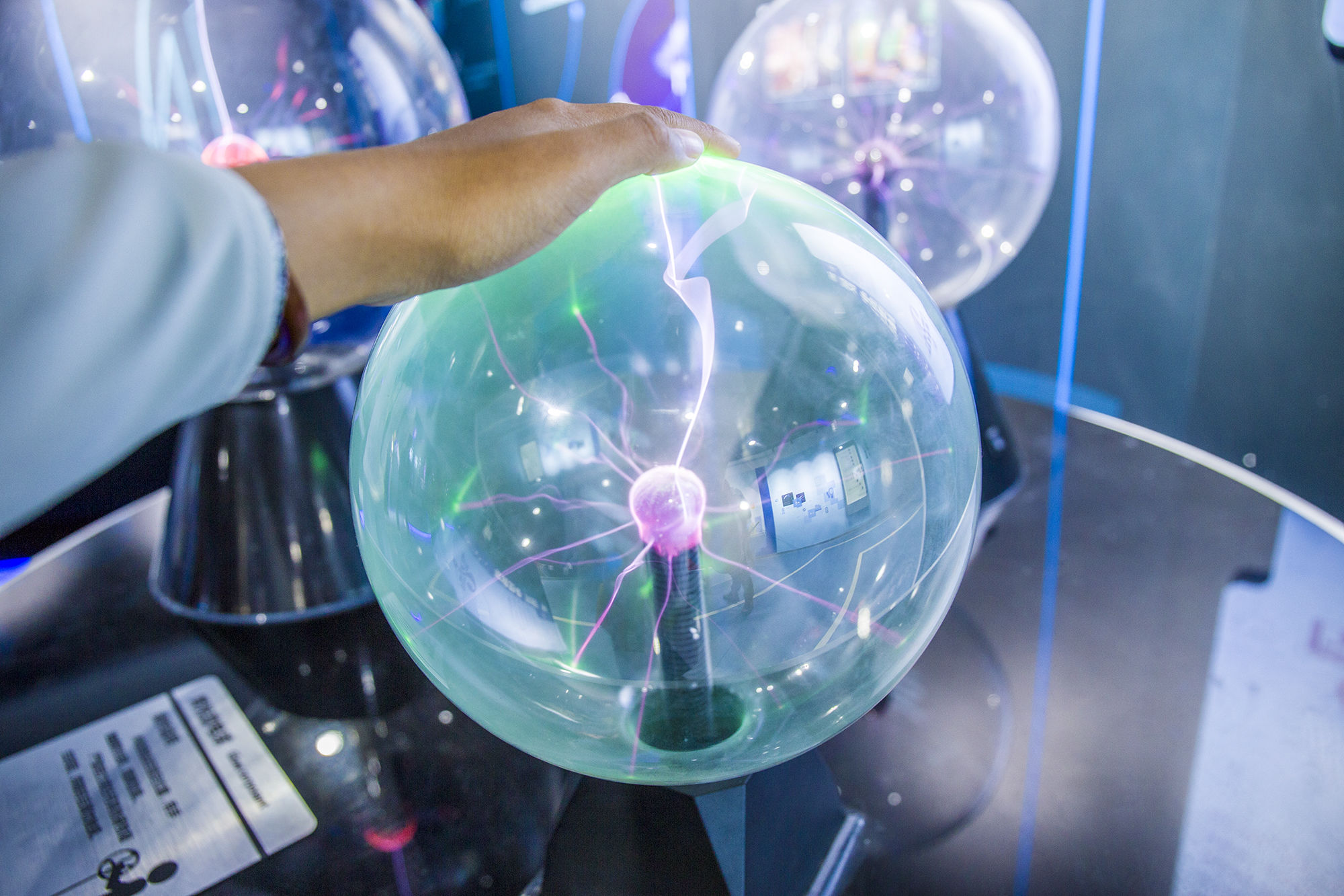 东营丨走过沧海桑田，终是在芦花飞雪的秋日遇见你