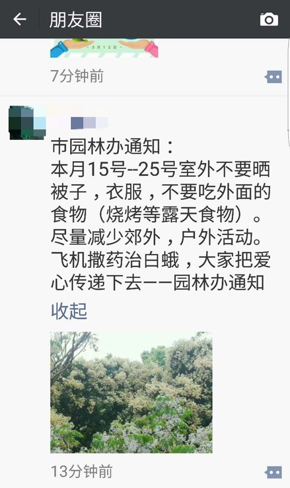 辟谣| 网传海口飞机撒药治白蛾，不要晒被子?真相来了!