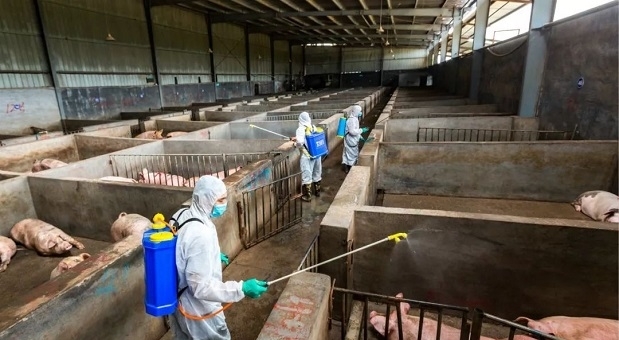  「保护区」下个月，村干部领取新任务，强拆4种养殖场，涉及村村