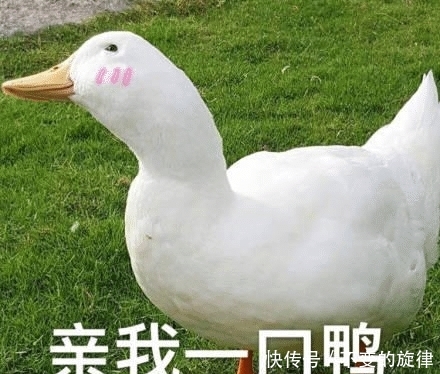 用来:我一直以为这个洞是用来放手指的,直到现在我才发现错了,哈哈哈哈哈哈