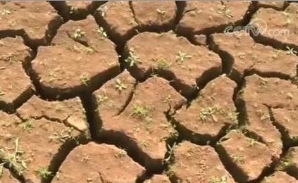  作出|特大干旱！安徽省委书记、省长作出批示