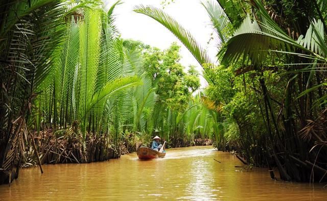 越南大虾在湄公河“泛滥”:一只虾巴掌大,中国吃货们敢下嘴吗?
