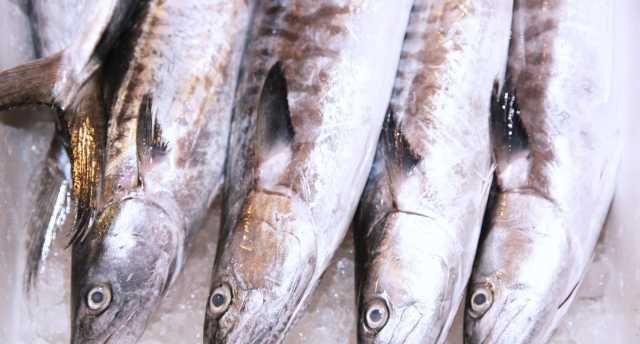 「小世界」大湾区小世界：猪肉已经吃不起？来吃开渔后的海鲜吧