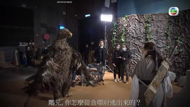  [不减]第一代神雕侠侣杨过依旧活跃电视圈 相隔44年再演依然英气不减