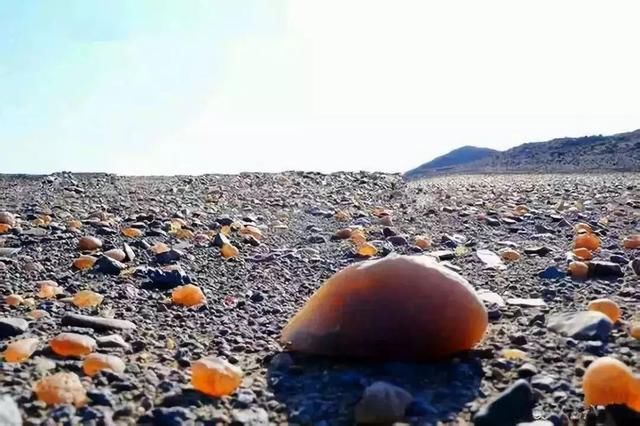 新疆人捡石头的最美季节又到了，教你在16个不同的地方捡石头！有