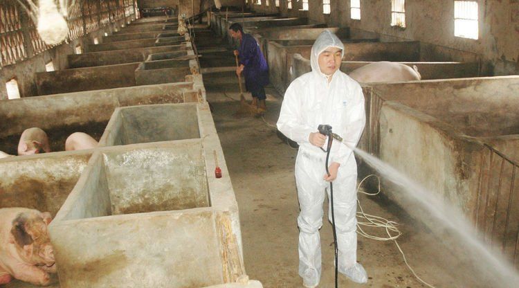 农村未来5年，养殖业会发生怎样的改变，19年养殖户请做好准备