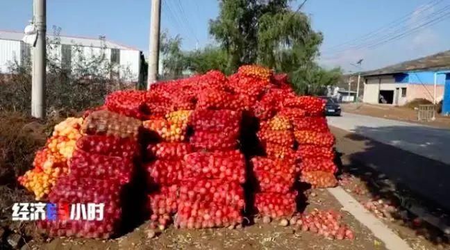  「过山车」这个主产地苹果3毛钱1斤！价格过山车究竟怎么了？