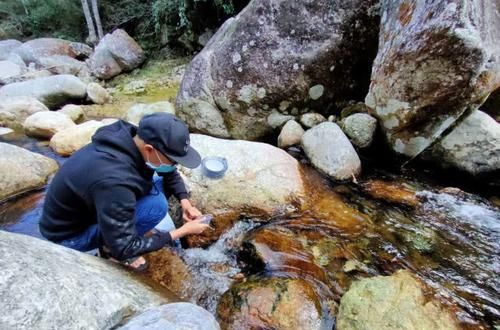 『特别』一种只属于山区的溪钓鱼种,如何垂钓?特别注意鱼籽有毒