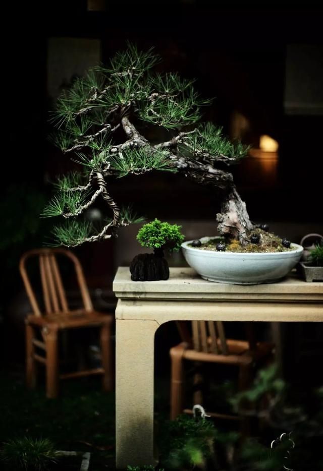  『家具』庭院中的石制家具