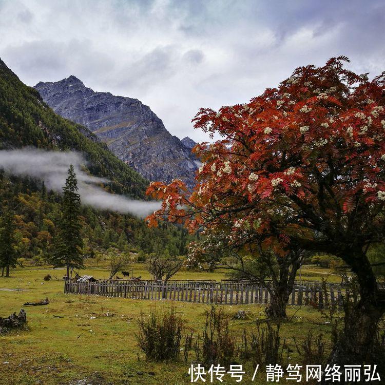 私藏在四川省内的秘境, 不是穿越, 是漫步天堂的旅行!