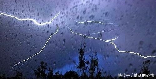 t017c35b1f1b27a70e8.jpg?size=499x255