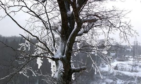  大寒节@小寒到了，俗语“小寒大寒，冻成一团”啥意思？小寒节气