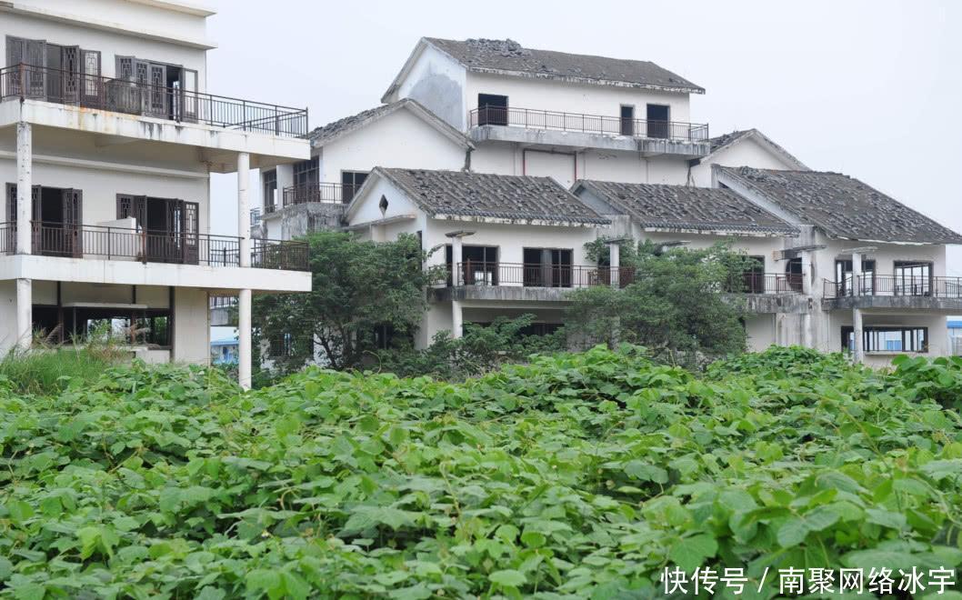 南宁20栋别墅搁置11年无人入住, 如今杂草丛生, 成当地鬼城, 可惜