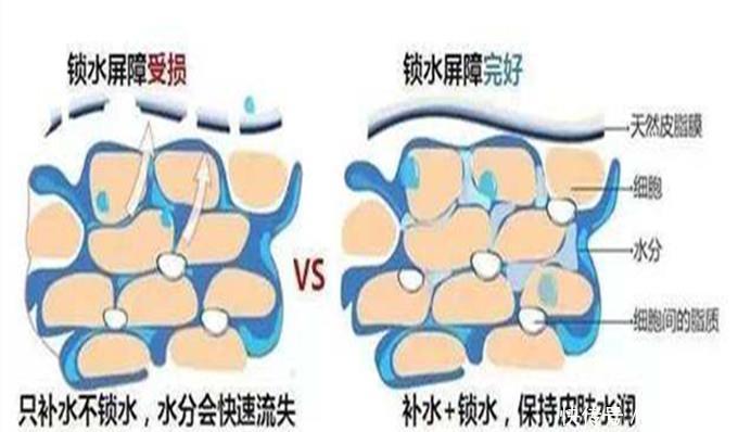  『油敏肌』干货满满，XDG带你一分钟看完油敏肌护理知识