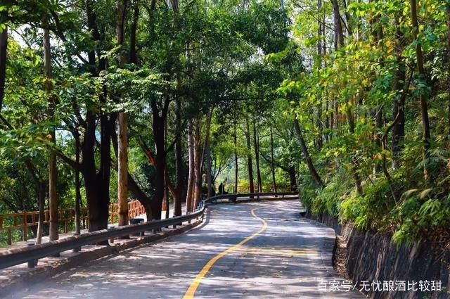 走进一座山，不小心发现山中藏着这样一座神仙寺庙!