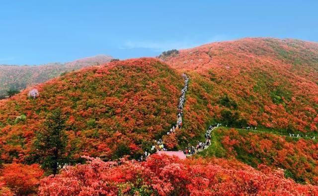  「黔东南最」2020世界最佳旅行目的地！贵州：暗藏密码，比想象中更神秘