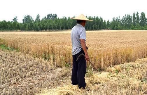 不想辛辛苦苦出去打工，那就选择这几种创业路子，让你轻松赚大钱