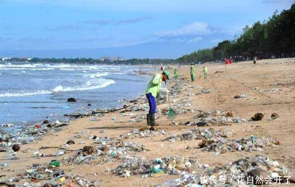 中国游客“如愿”减少,垃圾依然遍地都是,这回谁背锅?
