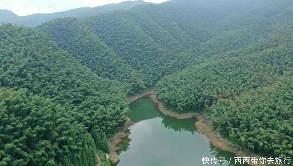 美翻了！去宜宾看过僰王山和石海，才知道什么叫“真·鬼斧神工”