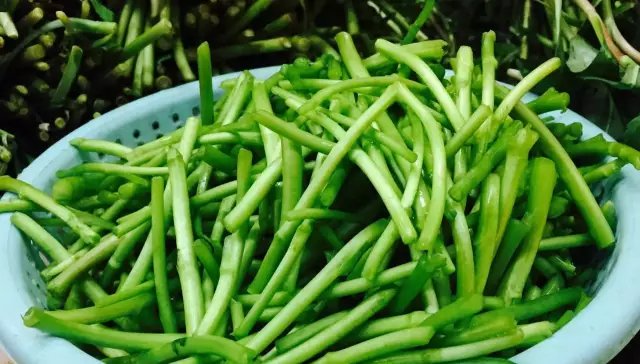  「初春」春暖花开，初春里的江南野菜，自然少不了芦蒿！