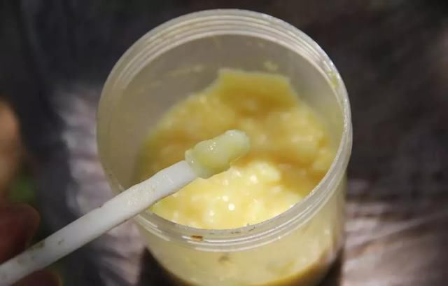 谣言识别芦荟能防癌？瞎说！