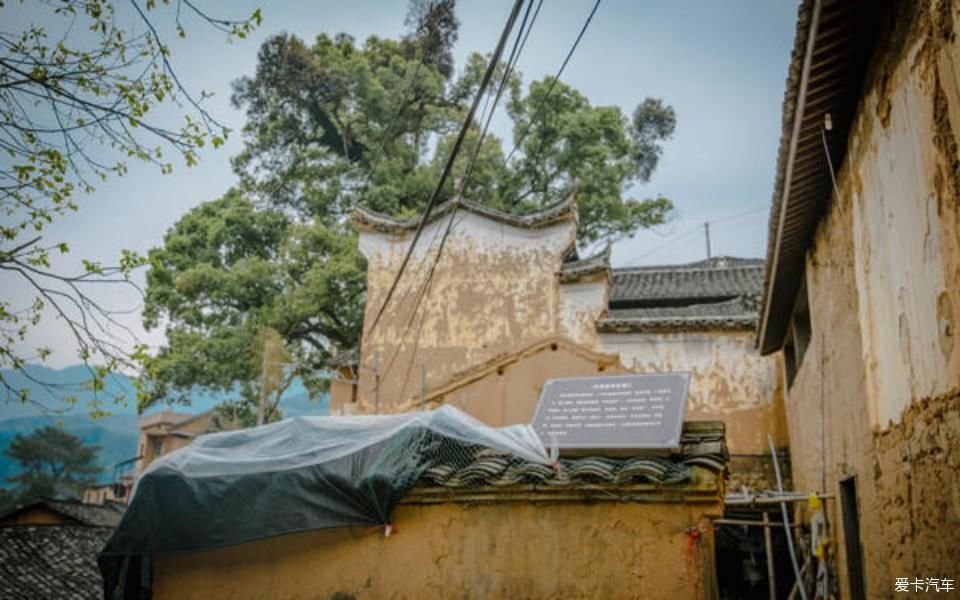  世外桃源@茶香环绕，与探岳陶醉在世外桃源。