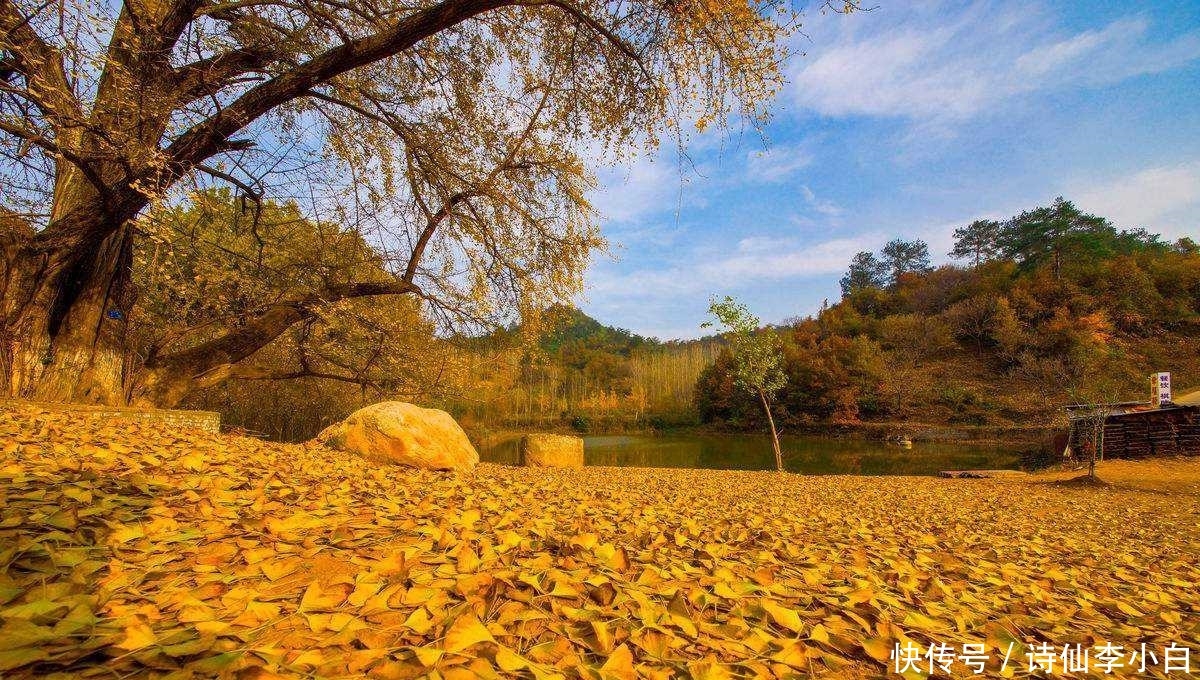 汉十高铁,湖北最美高铁,黄金旅游观光线带你揭秘中国快时代魅力