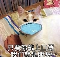  『竟然』“仙气紫薯”“黑糖奶茶”，2020最显白发色竟然是它
