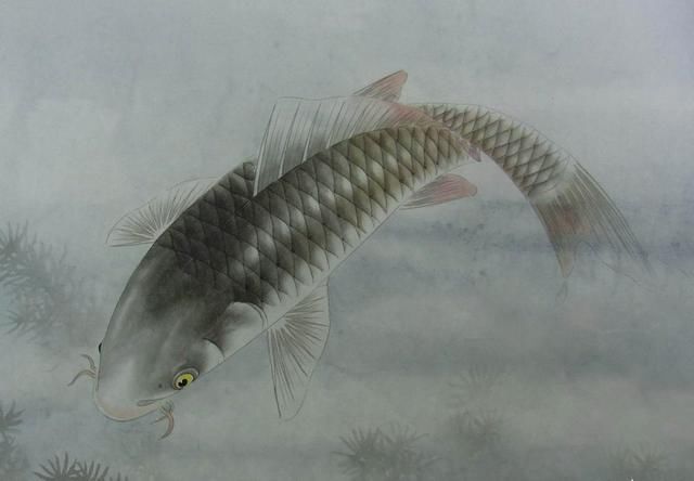 夏季钓鱼有秘诀,你懂吗?