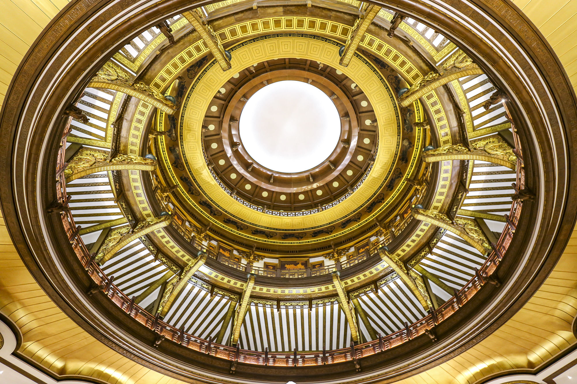 东营丨走过沧海桑田，终是在芦花飞雪的秋日遇见你