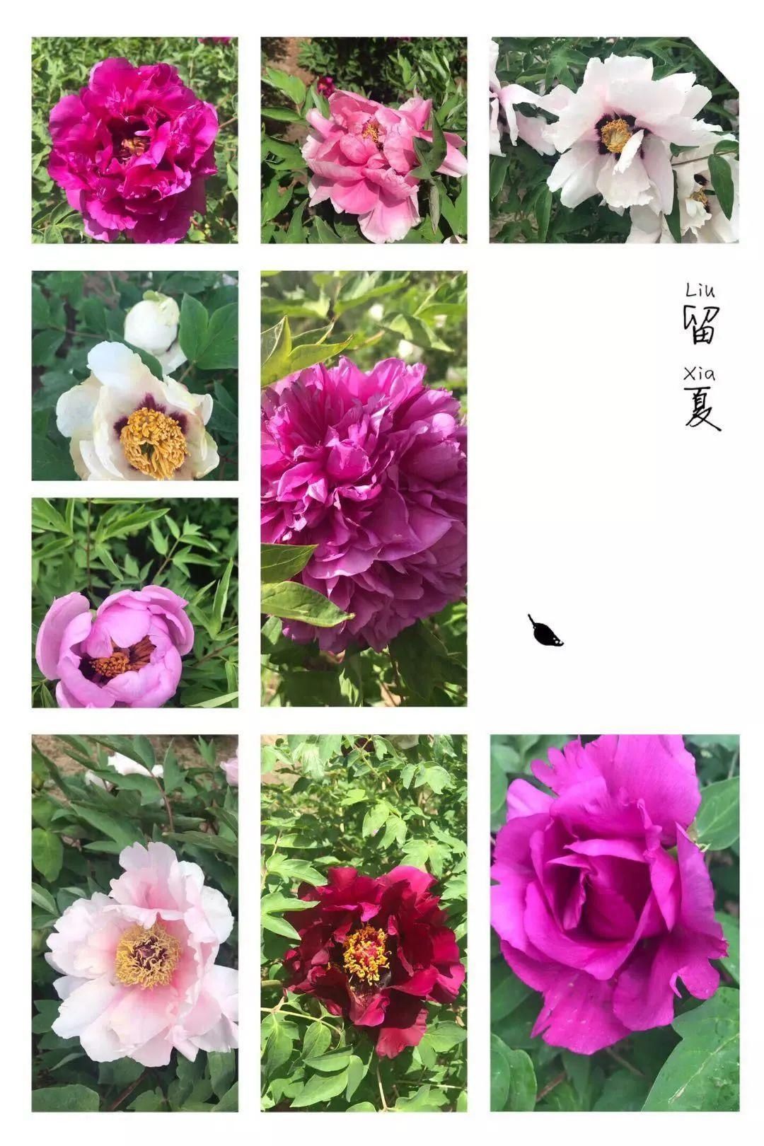  蹿到：@长春人，明天可以穿短袖喽！最高气温蹿到了21℃…