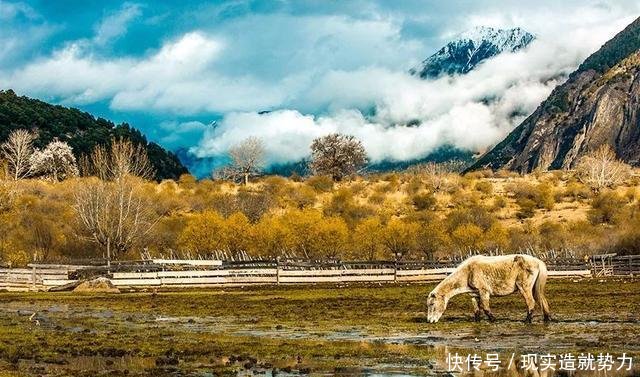 别错过秋天的林芝,景色堪比喀纳斯,最不该错过秋色童话世界