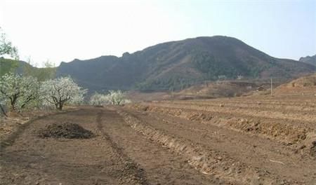  证书@2020年土地新规定，四大证书或将停止发放，土地将不会重新