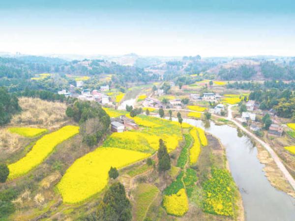 成都：城里城外 尽享“鲜花盛宴”