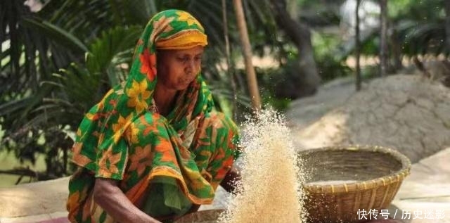 印度最火的大米，煮熟后粒粒分明，中国人却表示：难以下咽