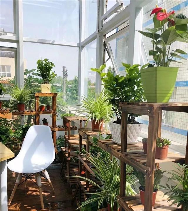  [色彩]植物搭配｜让植物与你的家融为一体