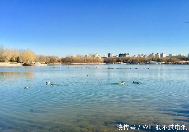 北京现最该去的景点: 面积超万亩, 美成了金色童话! 还不收费