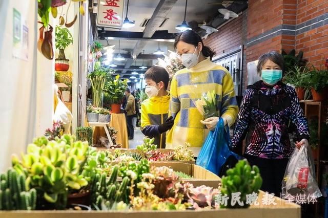  『春天』市民走出家门 去上海最大花市把春天带回家