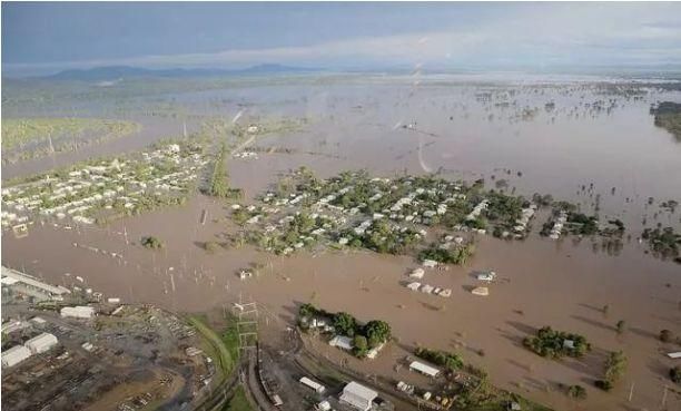 牛价又要上涨！50万头牛被淹死，畜牧业告急！