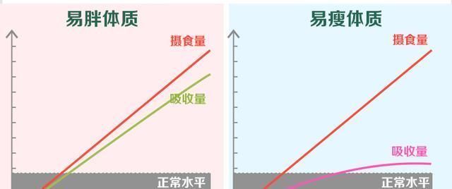 『 食物』坦言3类食物不吃,坚持下去养成“易瘦体质”,王鸥瘦到96斤