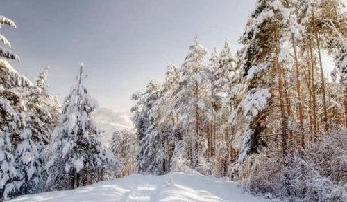 这里曾是中国领土，现在对国人免签，大龙虾50一只，七彩沙滩