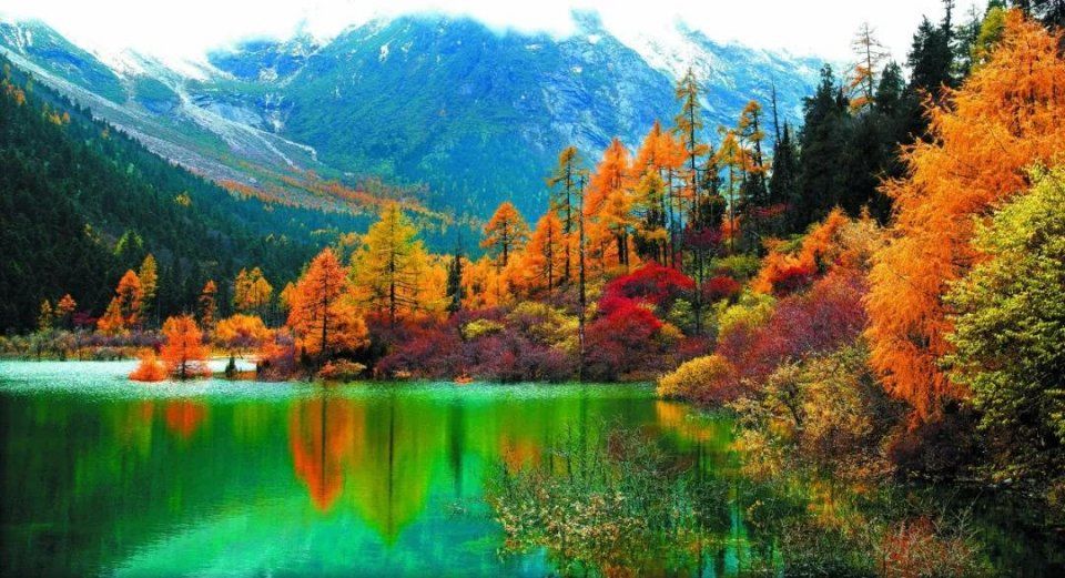 彩林之秋毕棚沟 | 赏秋要趁早!9月份就可以来这里赏红叶彩林了