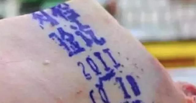 非洲猪瘟流传全国？不！请擦亮你的眼睛，做一个不信谣不传谣的人